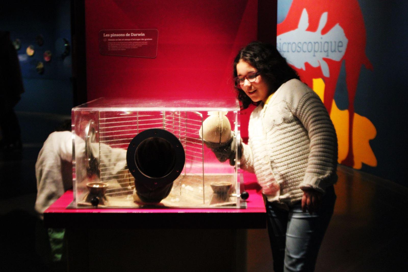 Espace des sciences rennes 11