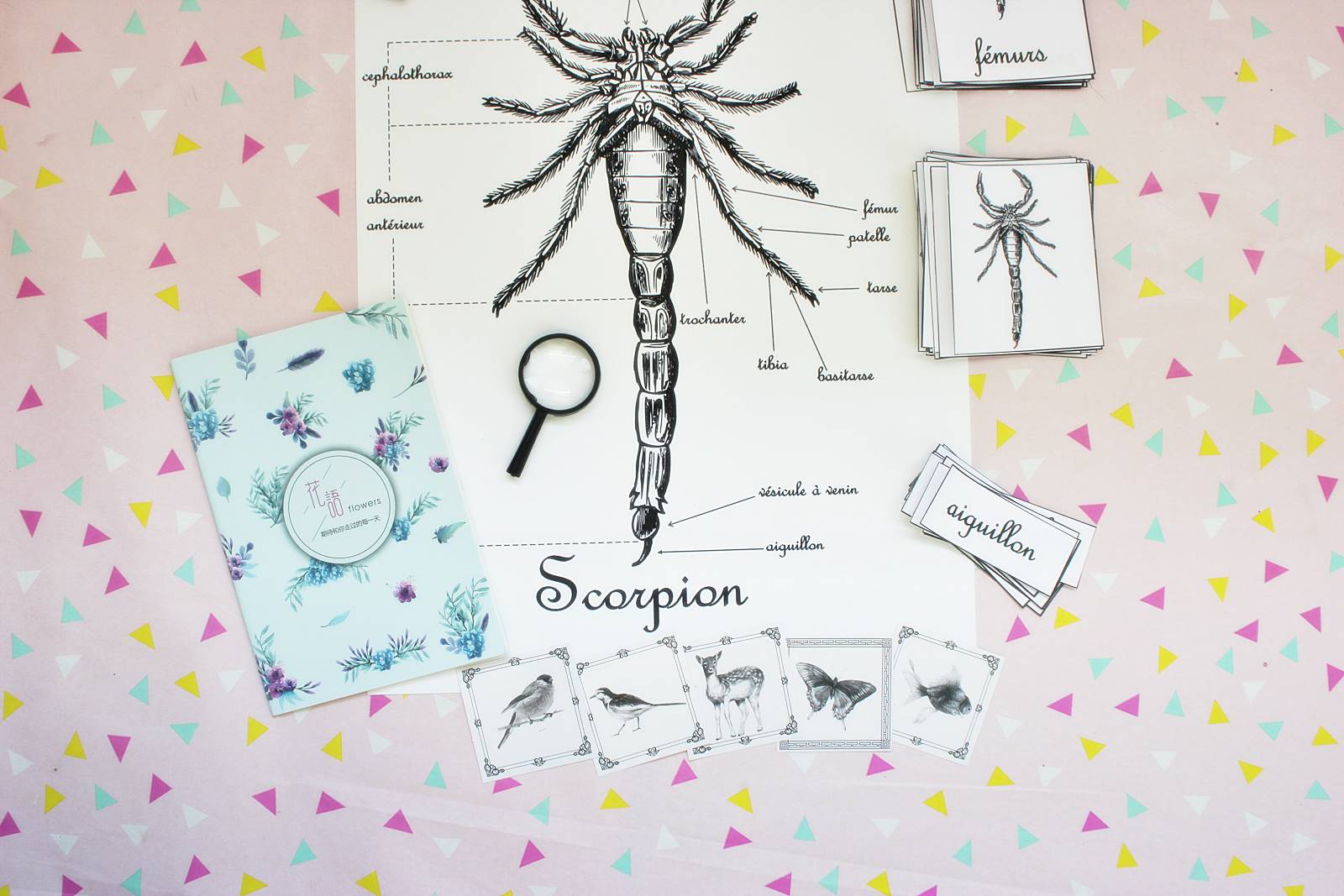 Kit scorpion blog 2