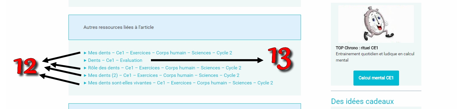 Pas a pas pass education 5