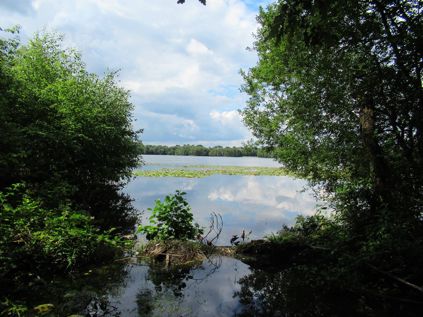 Randonnee etang de gruellau 12