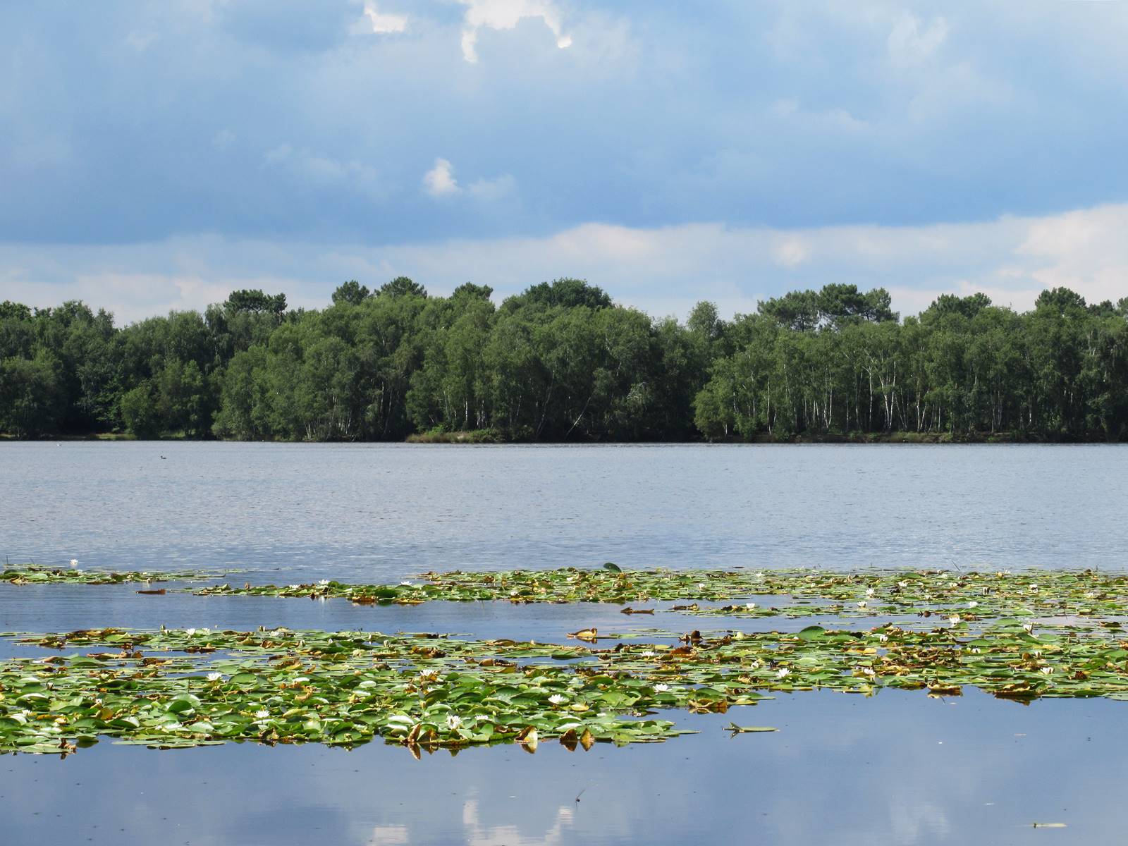 Randonnee etang de gruellau 13