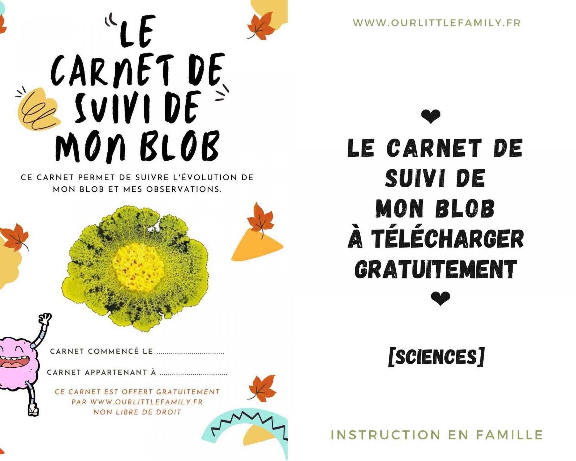 Le carnet de suivi de ton blob à télécharger gratuitement