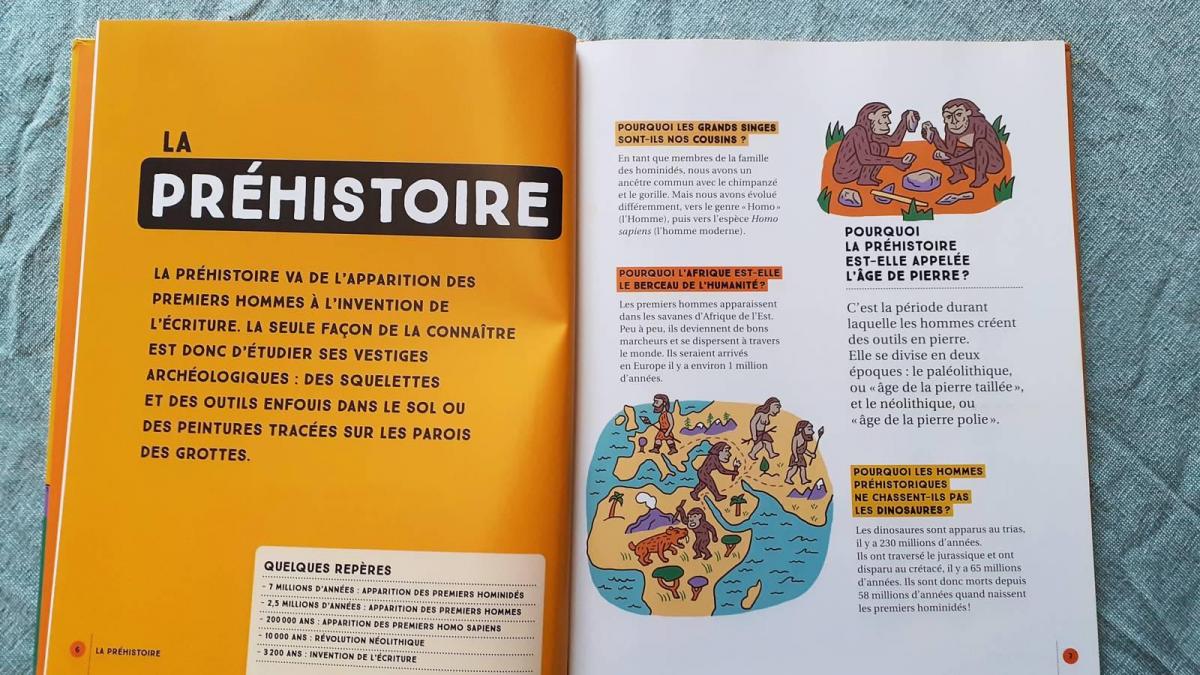 150 pourquoi de l histoire de france flammarion 20200824 121407
