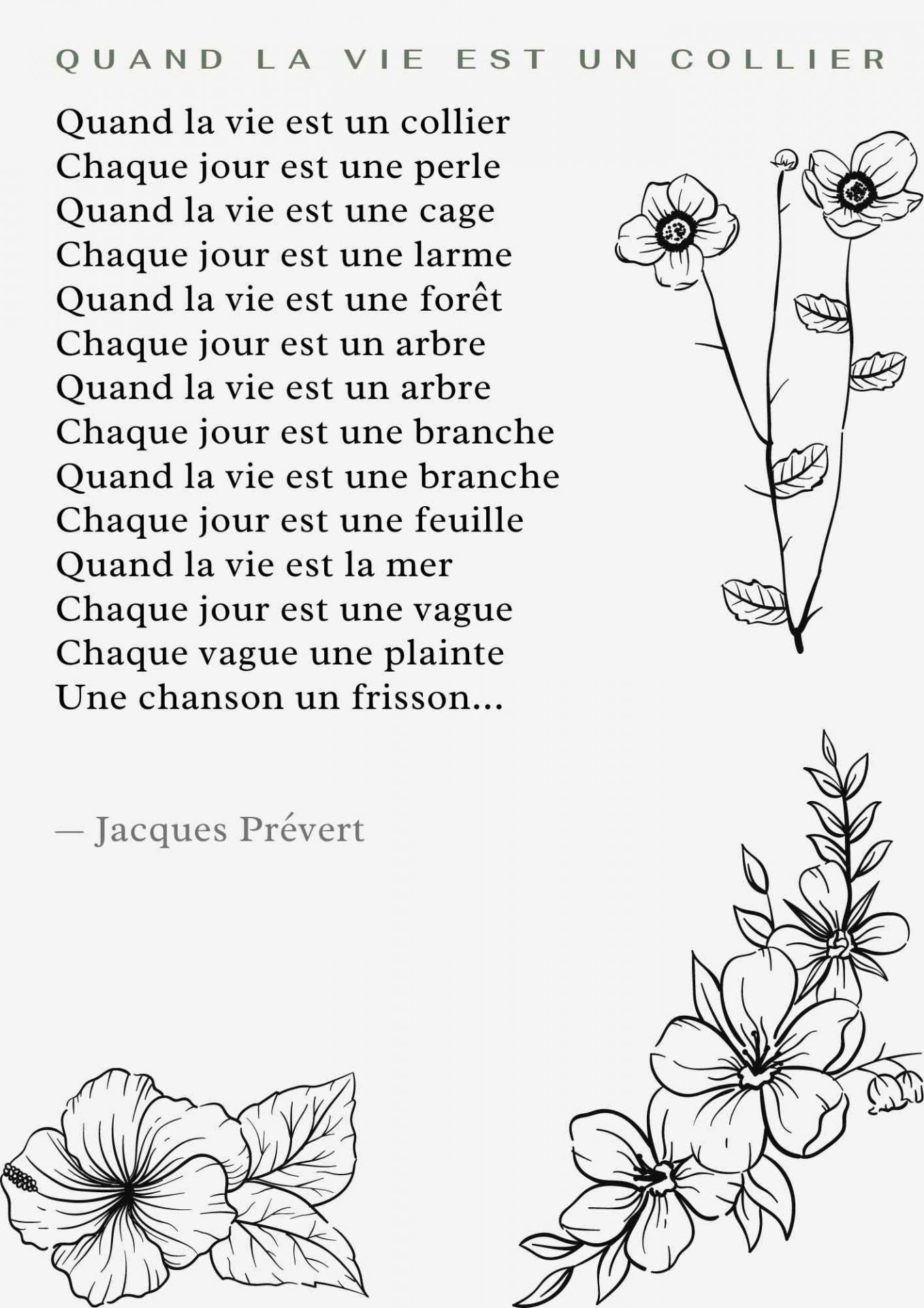 Dessin de fleur, Jacques Prévert