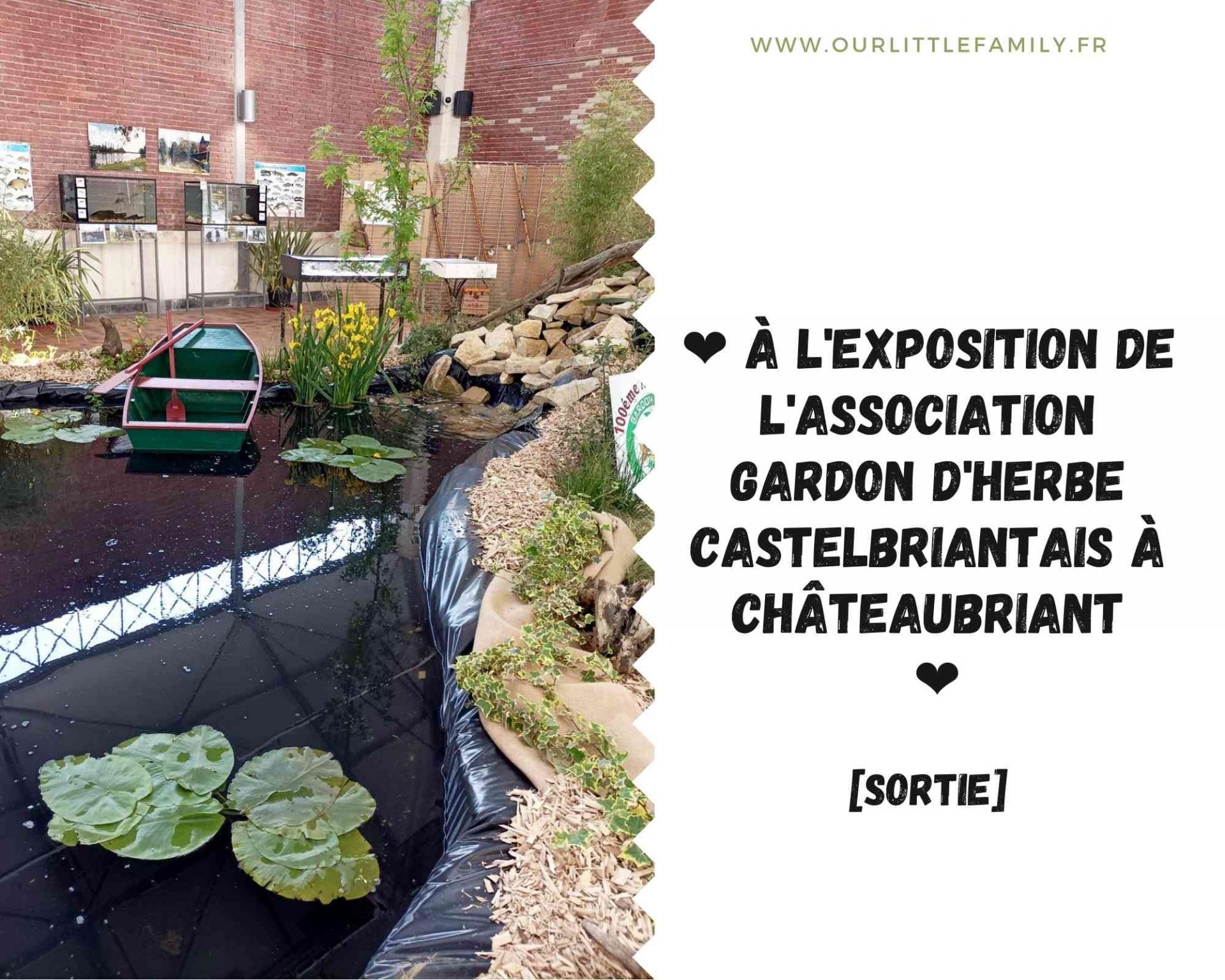 A l exposition du gardon d herbe castelbriantais a chateaubriant