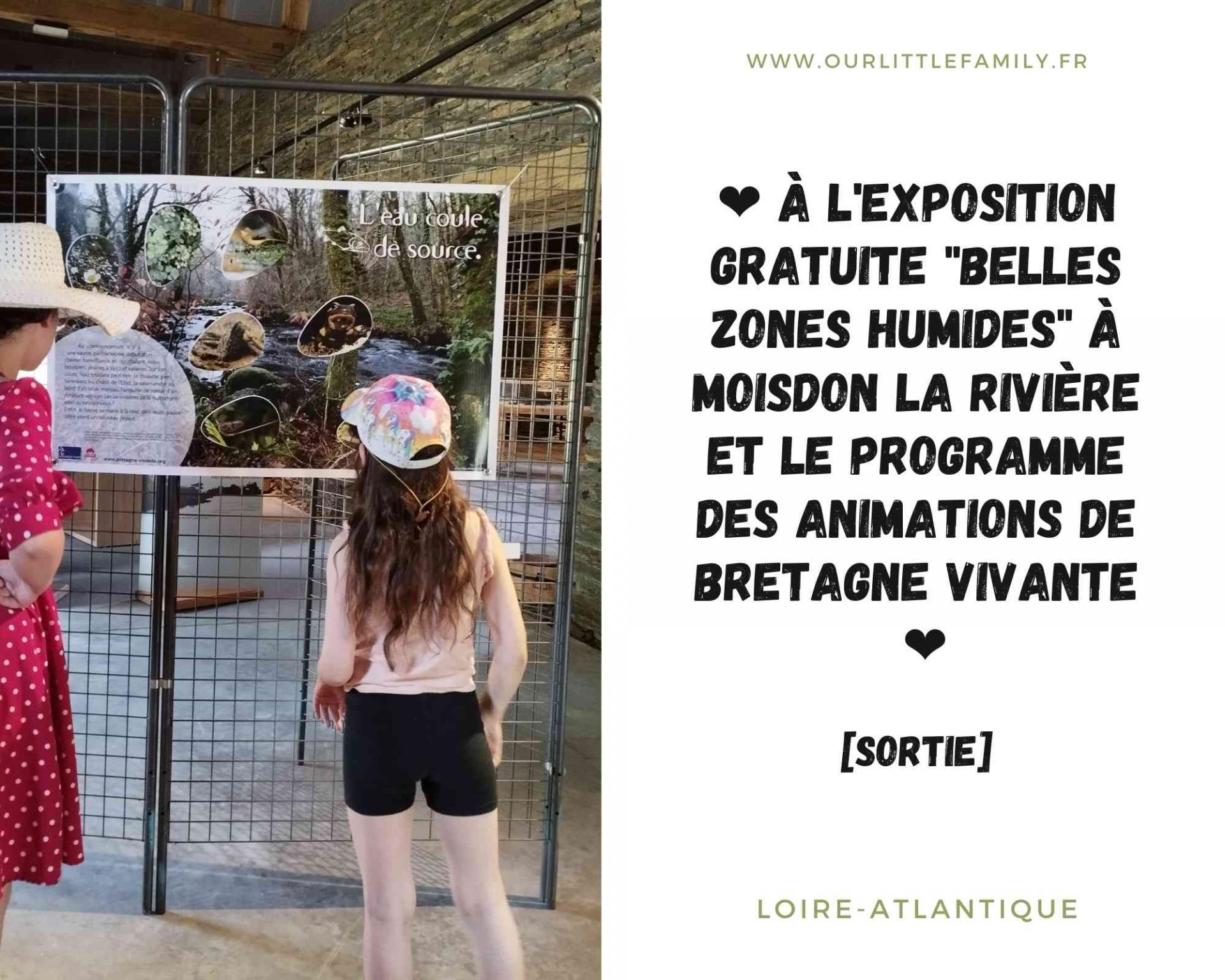 A l expostion gratuite belles zones humides a moisdon la riviere et le programme des animations de bretagne vivante