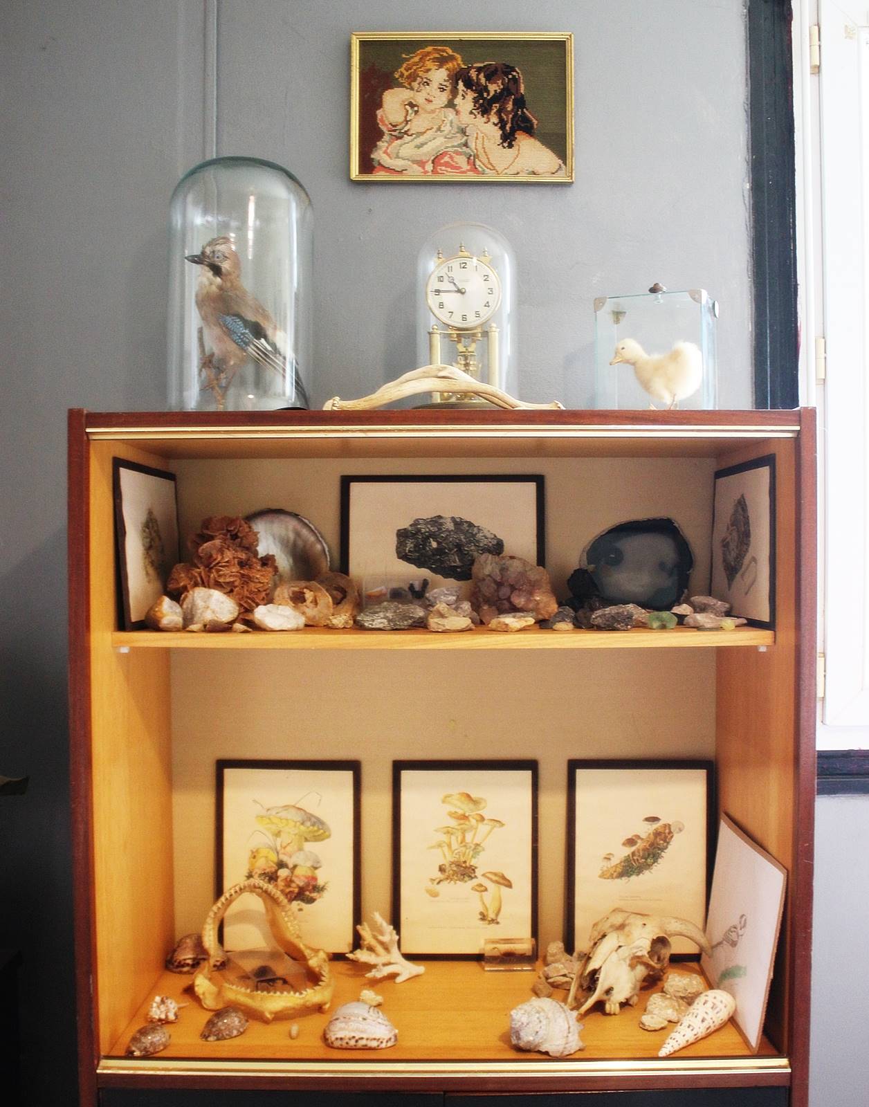 Cabinet des curiosites 25