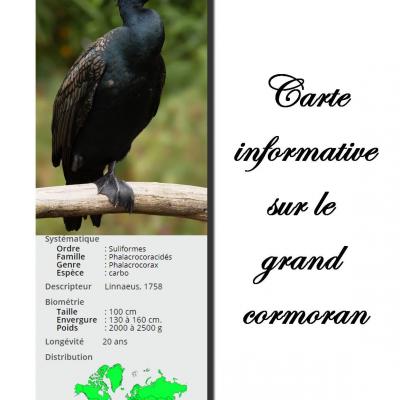 Carte grand cormoran