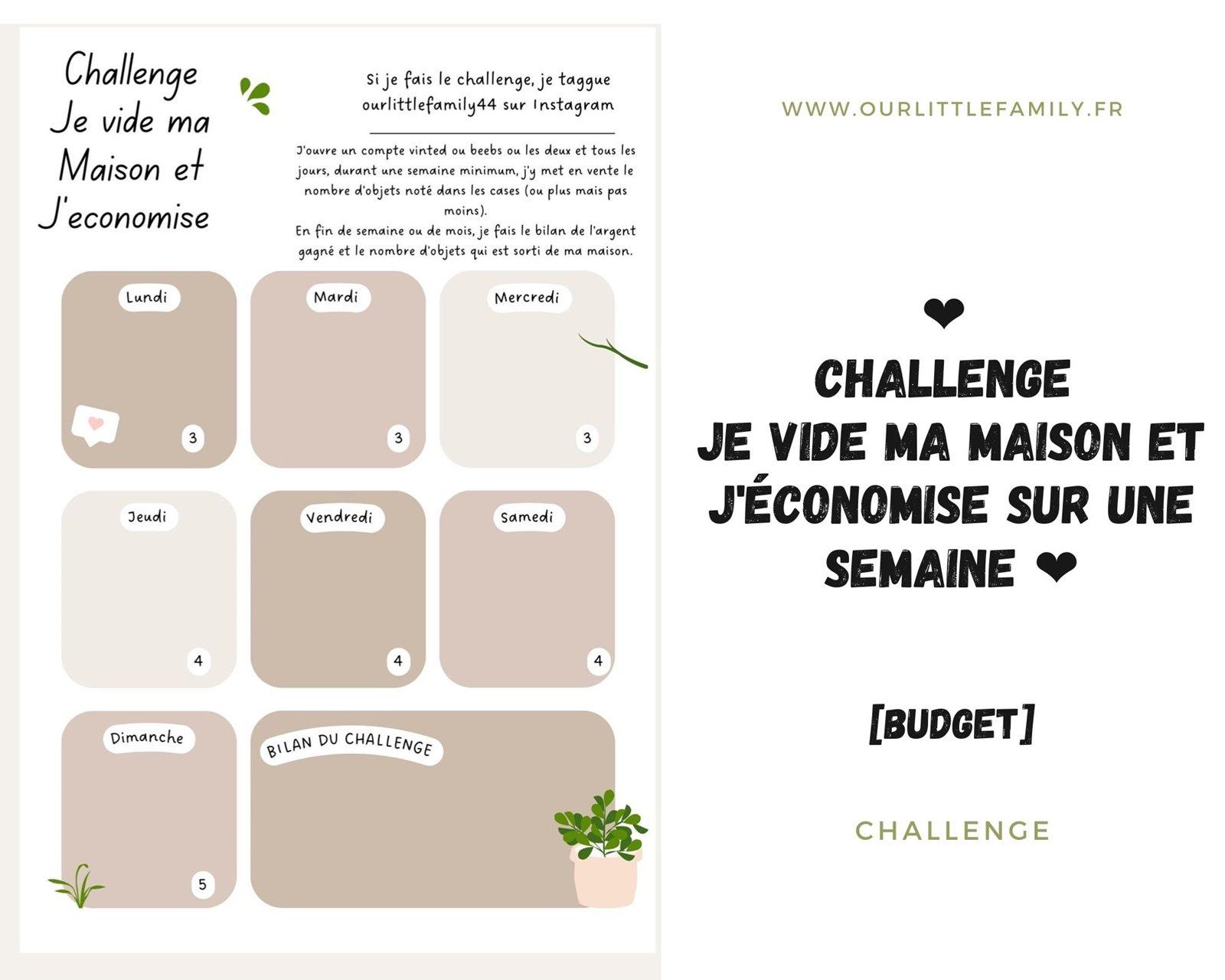 Challenge je vide ma maison et j economise sur une semaine