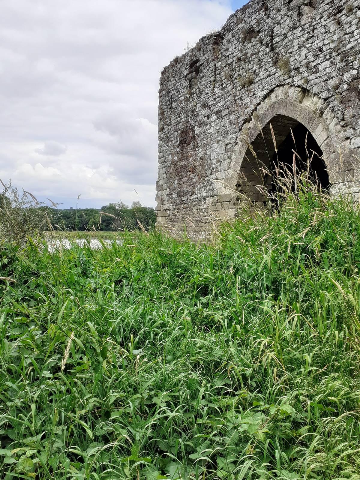 Champtoceaux20200607 134407