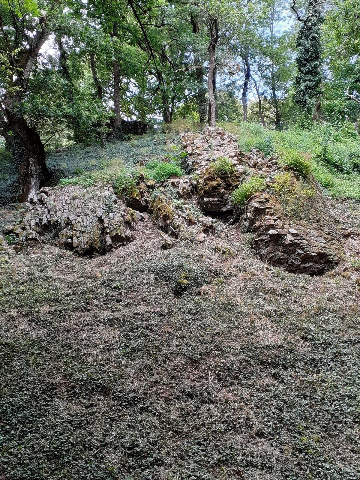 Champtoceaux20200607 150448