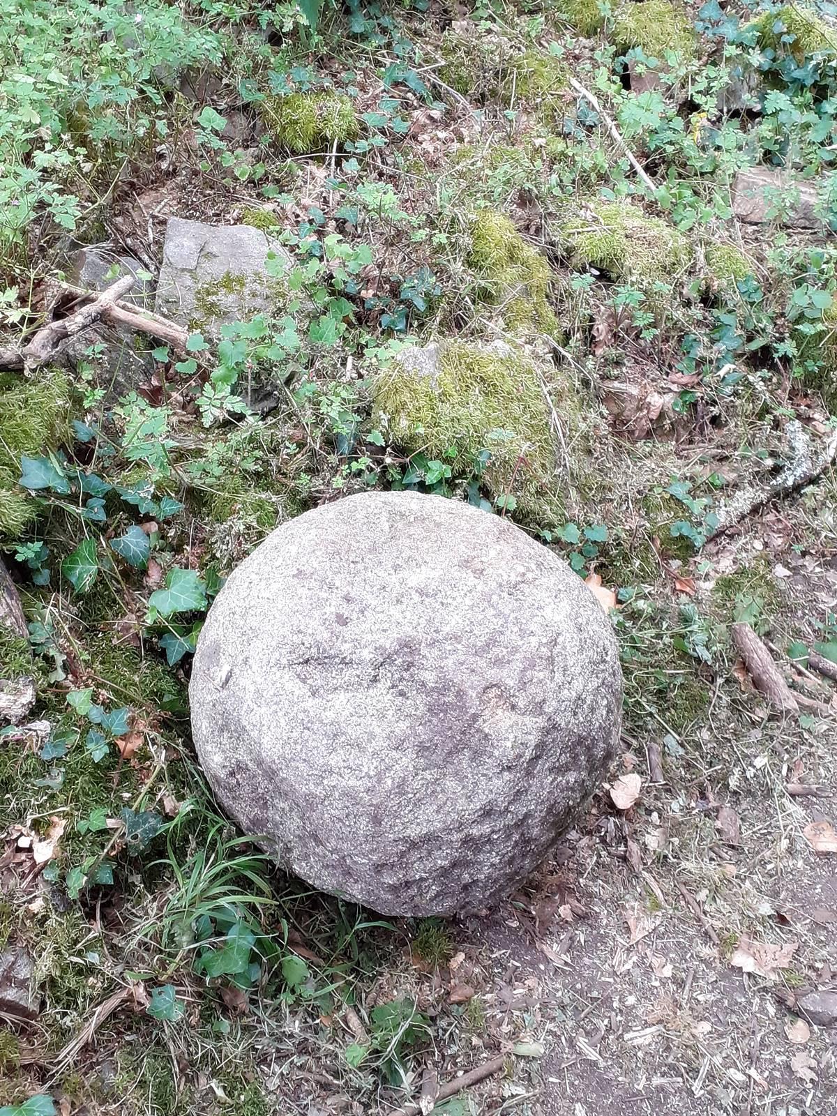 Champtoceaux20200607 152455