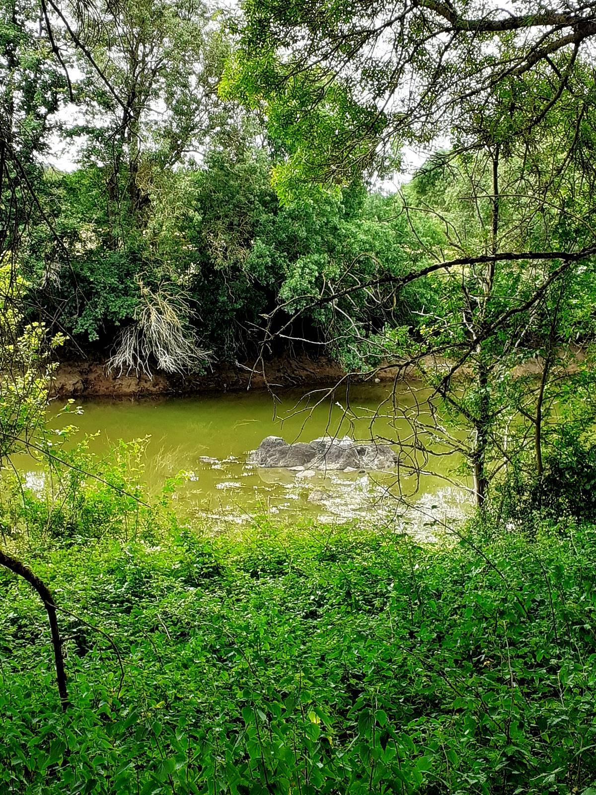 Champtoceaux20200607 175432