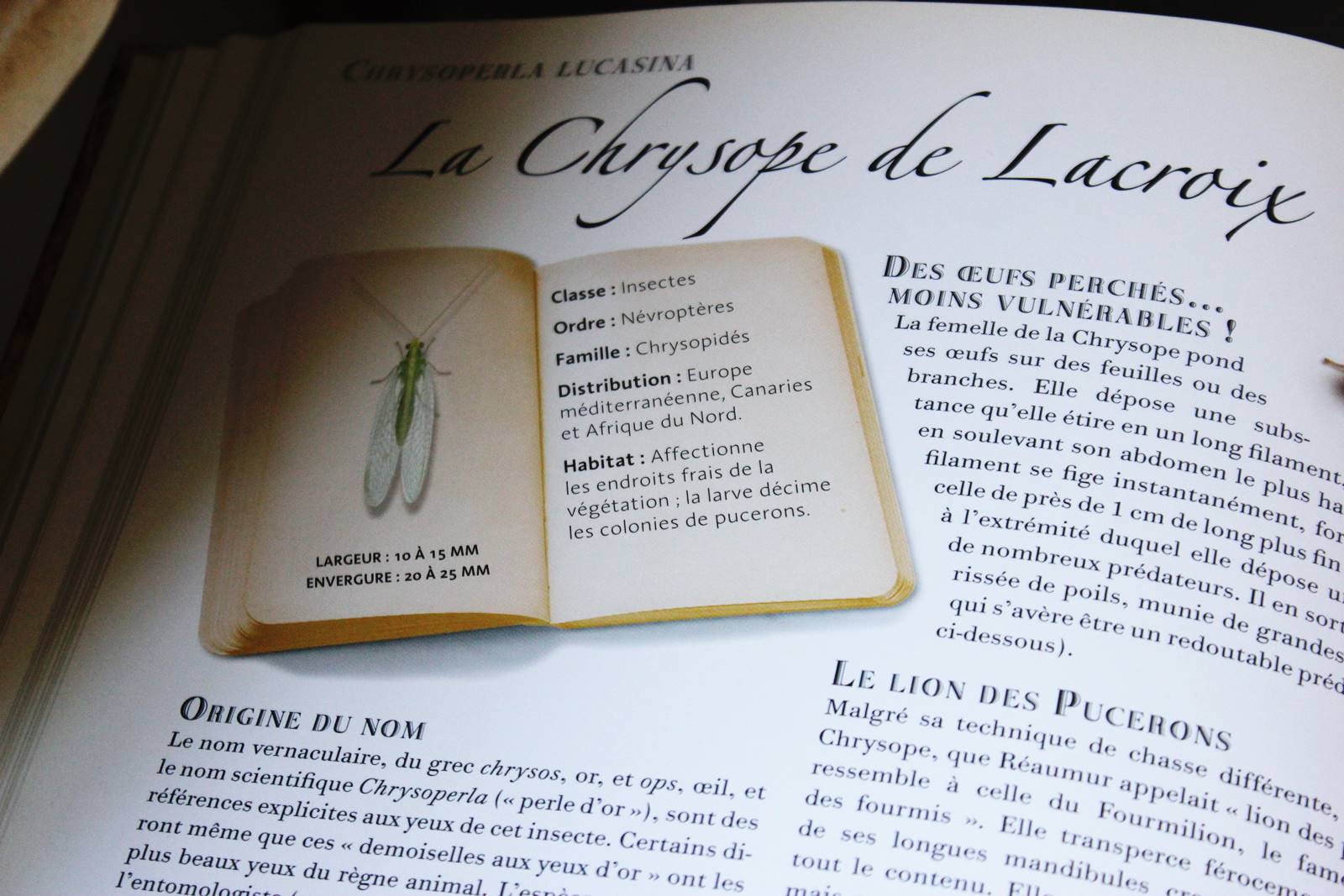 Collection d insectes livre larousse 4