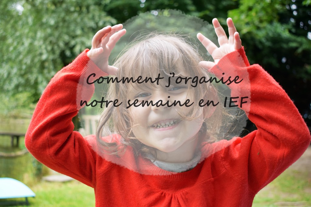 Comment j organise notre semaine en ief