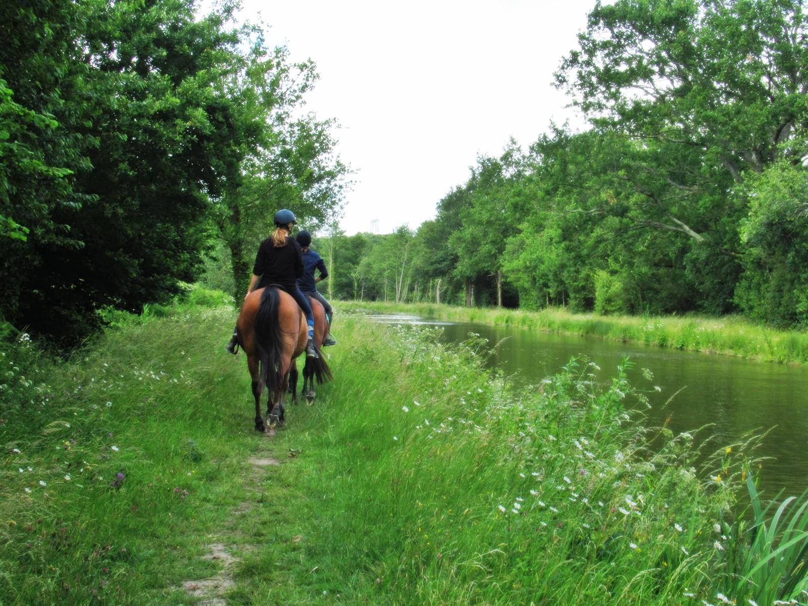 Ecluse tindiere nort sur erdre 4