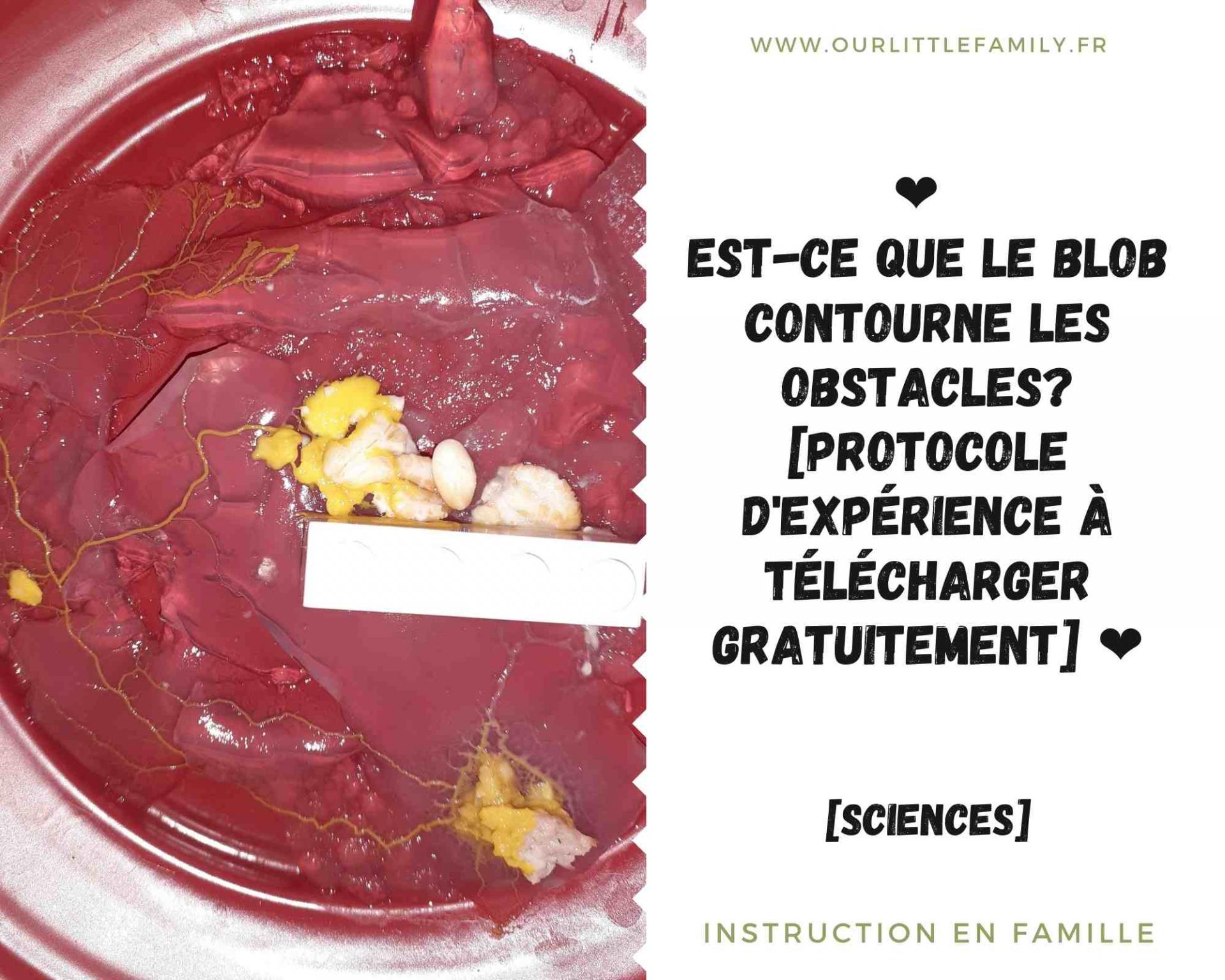 Est ce que le blob contourne les obstacles protocole d experience a telecharger gratuitement