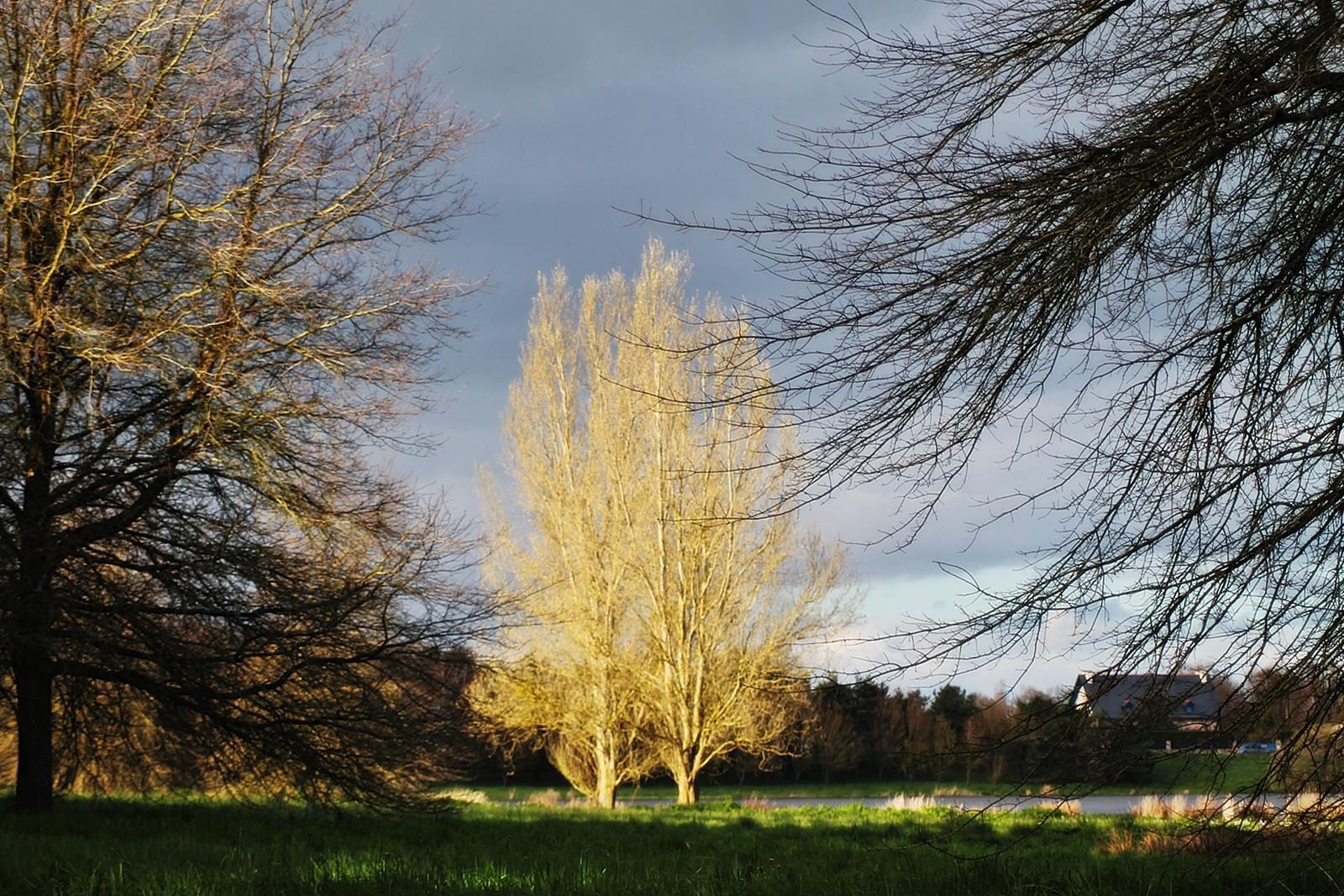 Etang de beaumont isse loire atlantiquebeaumont 10