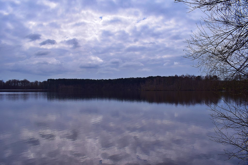 Etang de gruellau 1