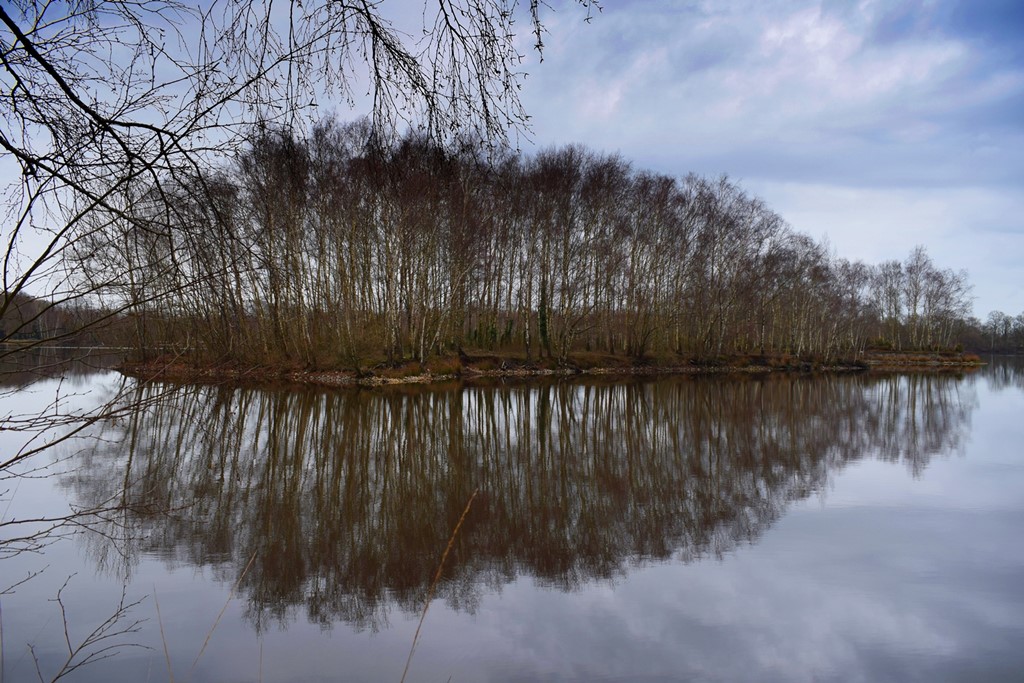 Etang de gruellau