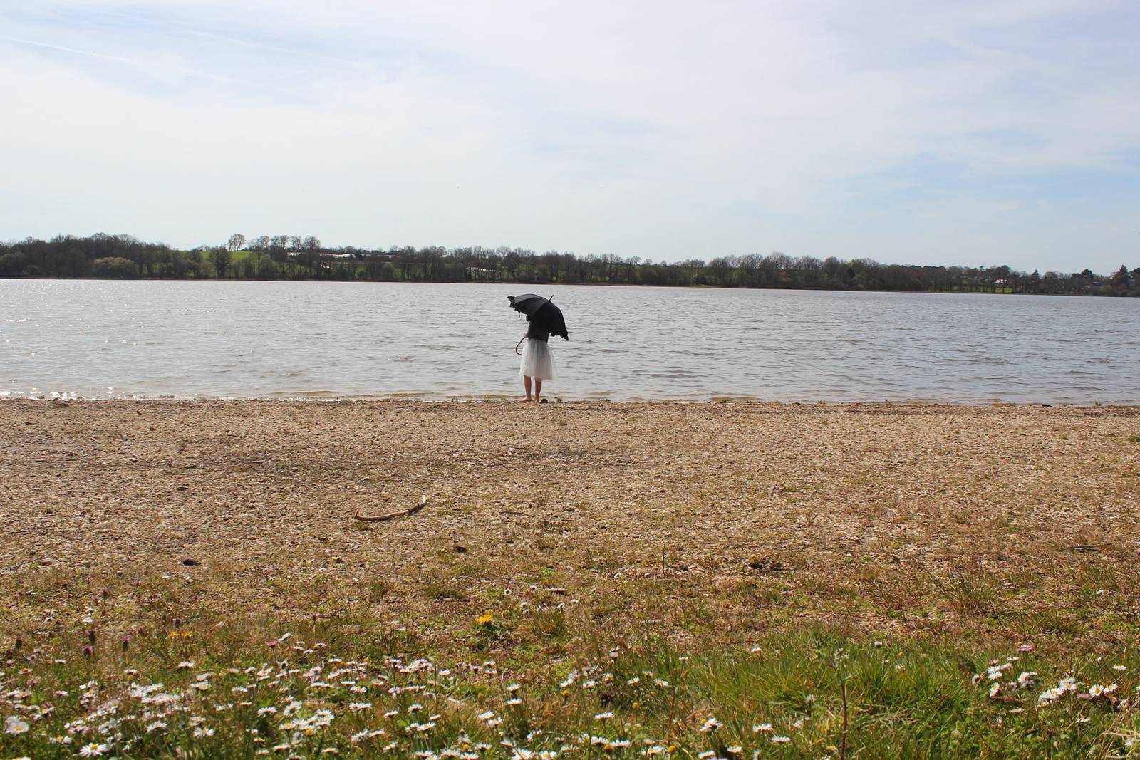 Etang de vioreau loire atlantique 12