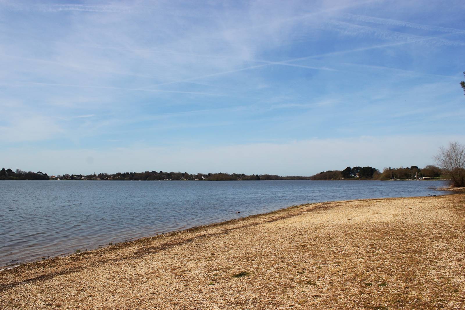 Etang de vioreau loire atlantique 2