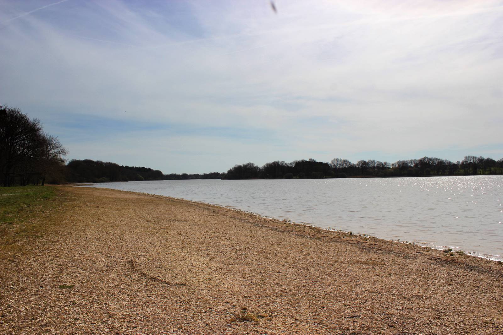 Etang de vioreau loire atlantique 8