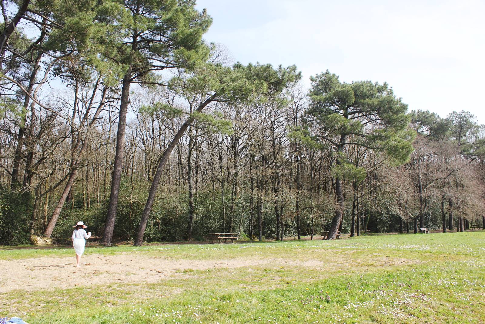 Etang de vioreau loire atlantique 9