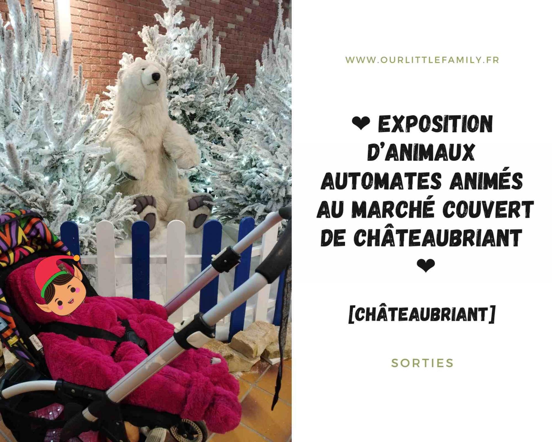 Exposition d animaux automates animes au marche couvert de chateaubriant