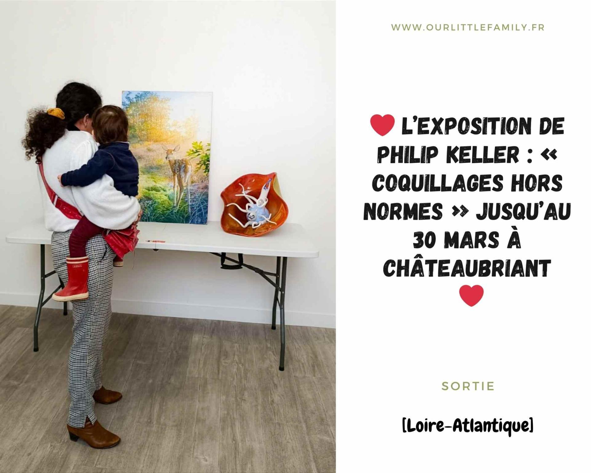 Exposition philip keller coquillages hors normes