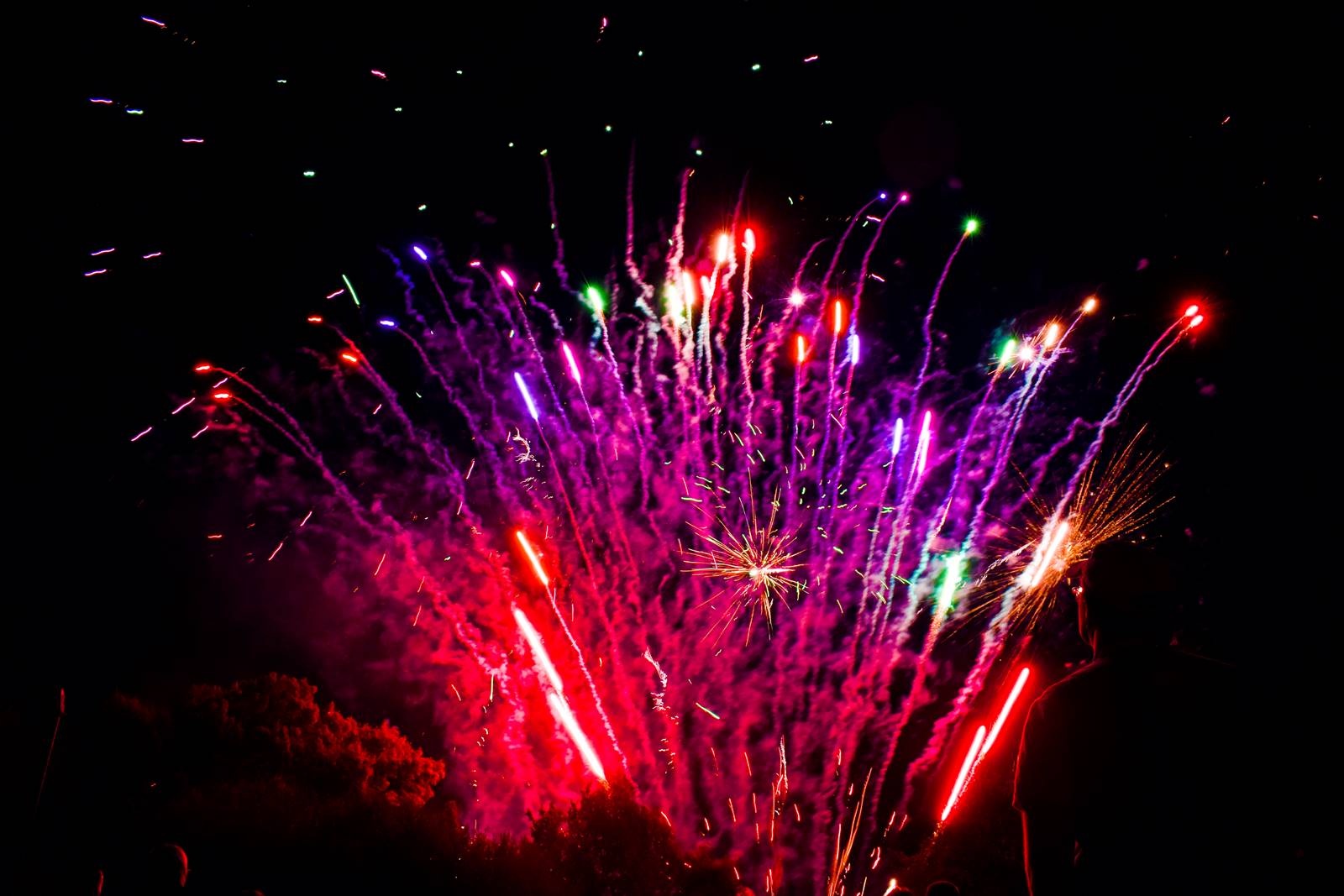 Feu d artifice guemene penfao loire atlantique 19