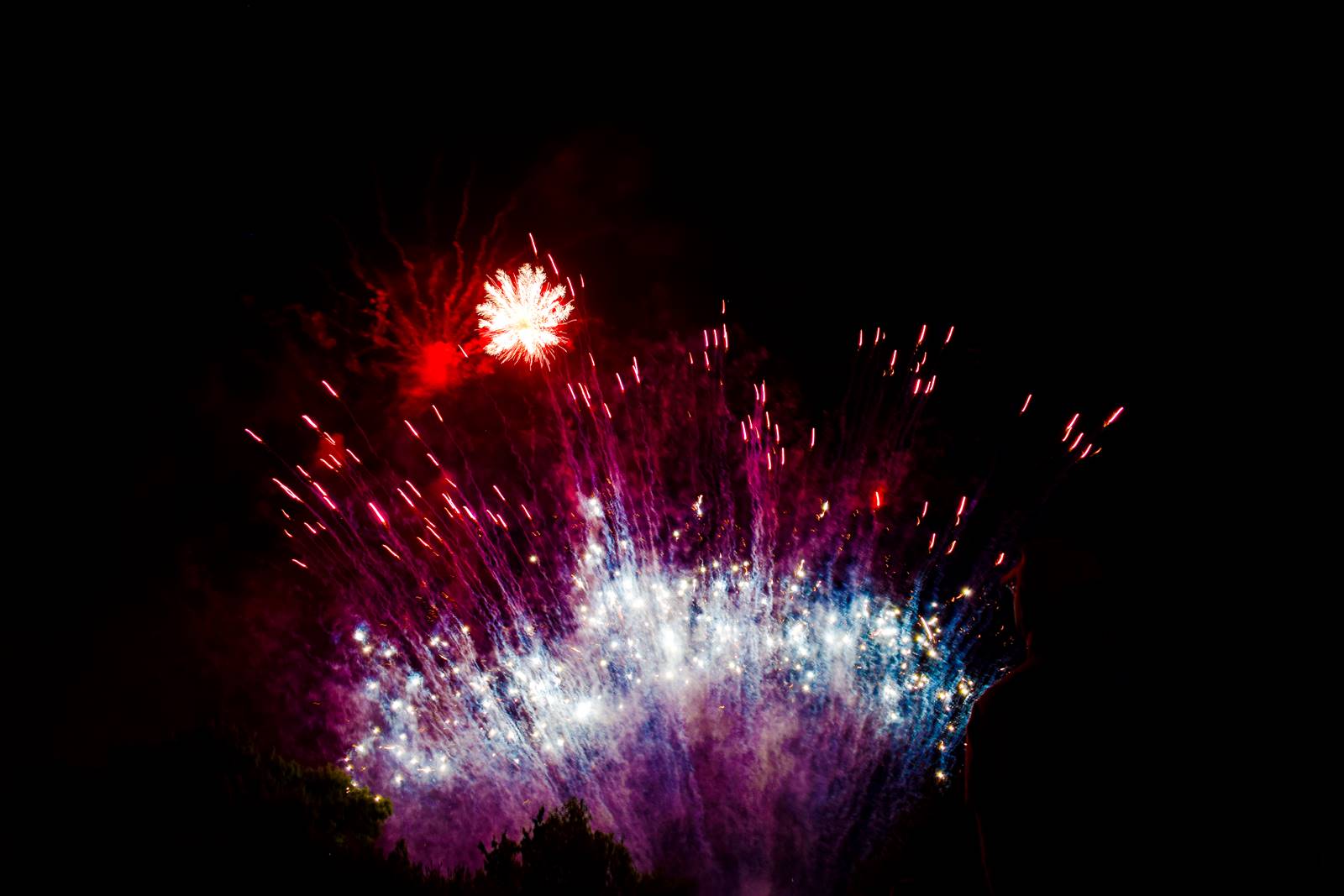 Feu d artifice guemene penfao loire atlantique 9