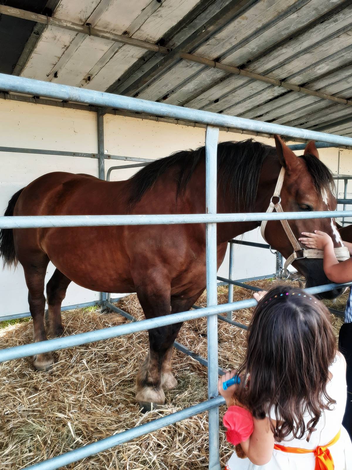 Foire de bere 201920190906 143906