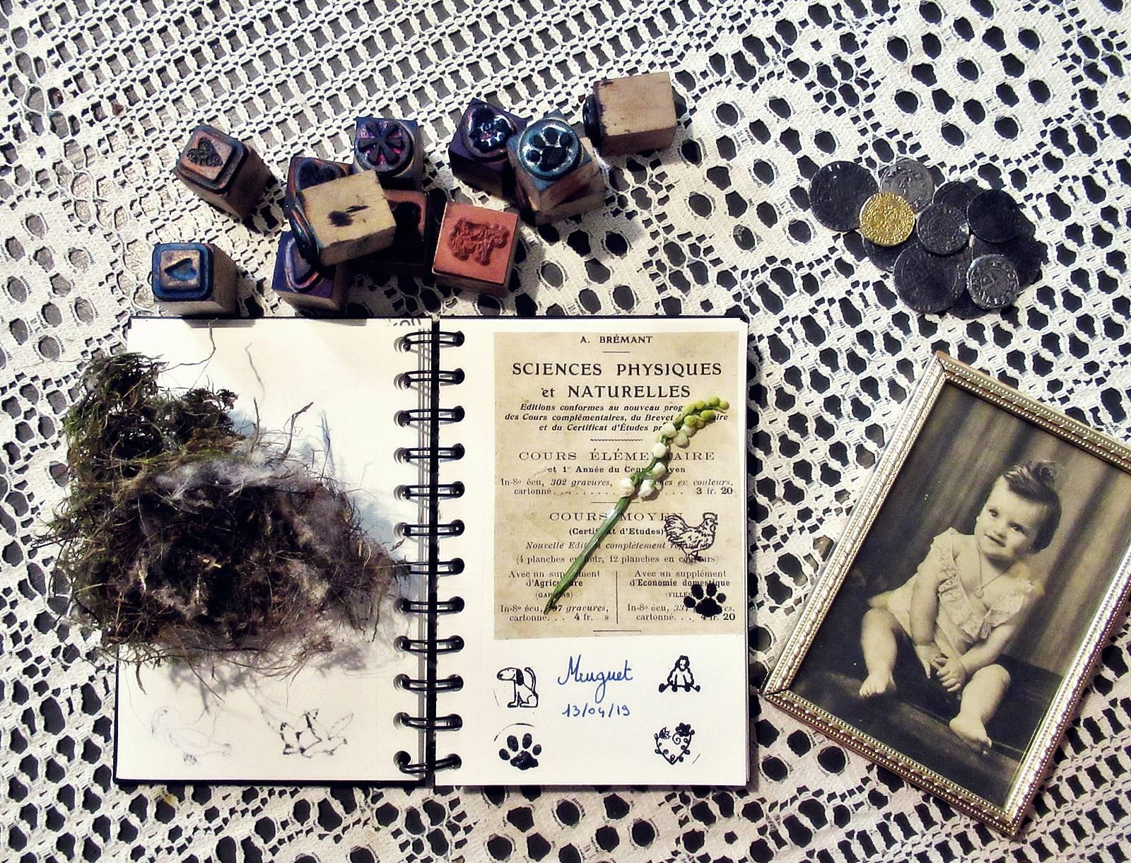 Herbier blog