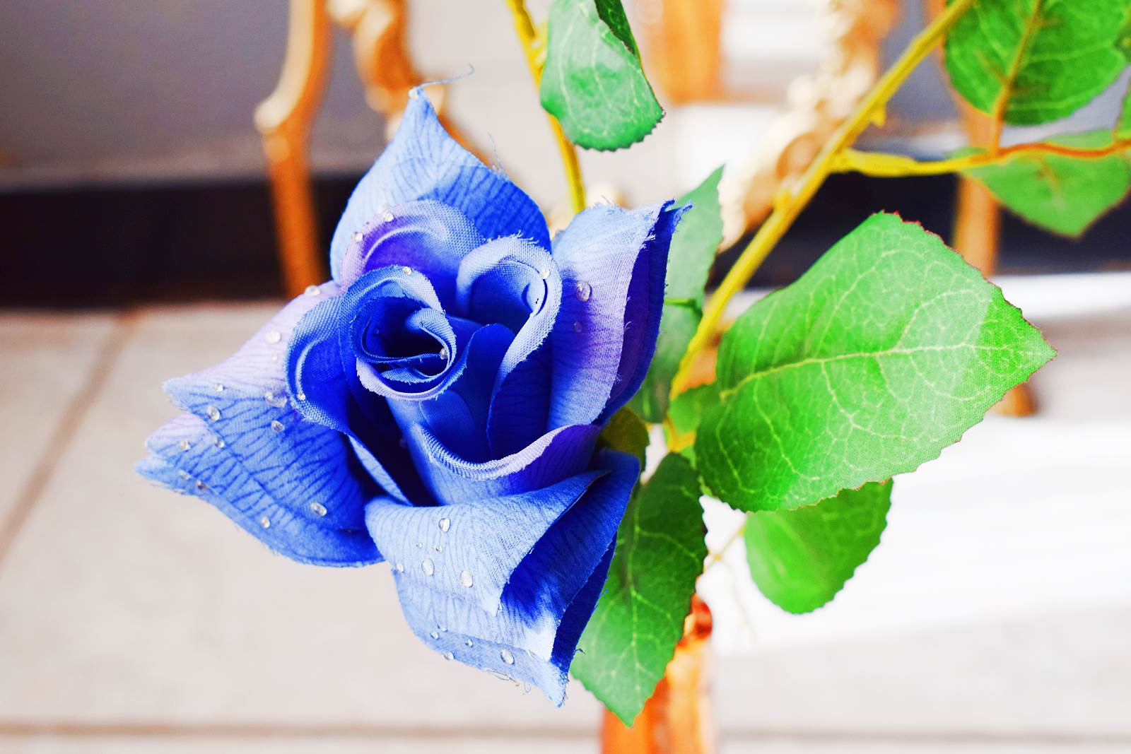 Instant vintage 40 rose bleu