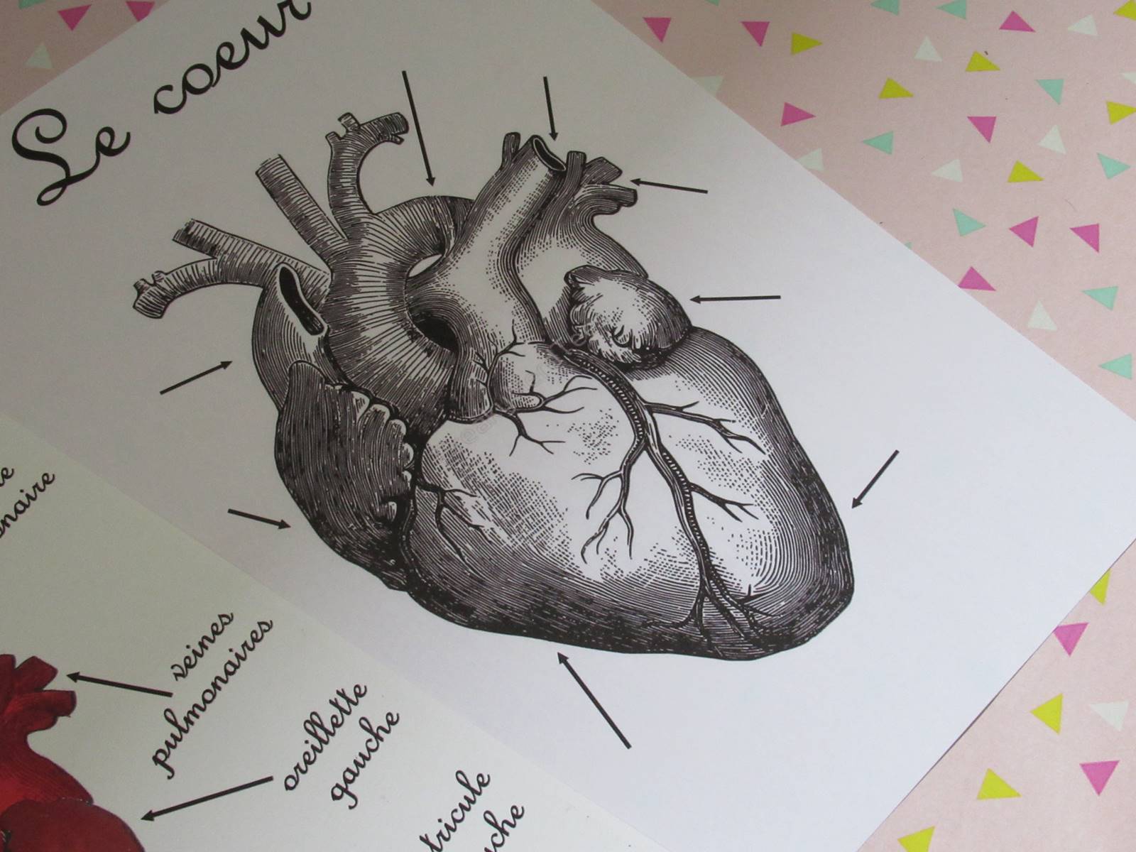 Instruction coeur ief homescooling 4