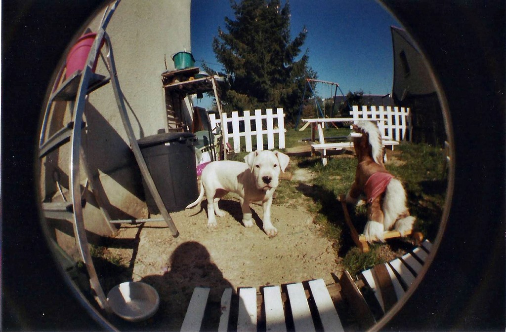 King fish eye 2 1