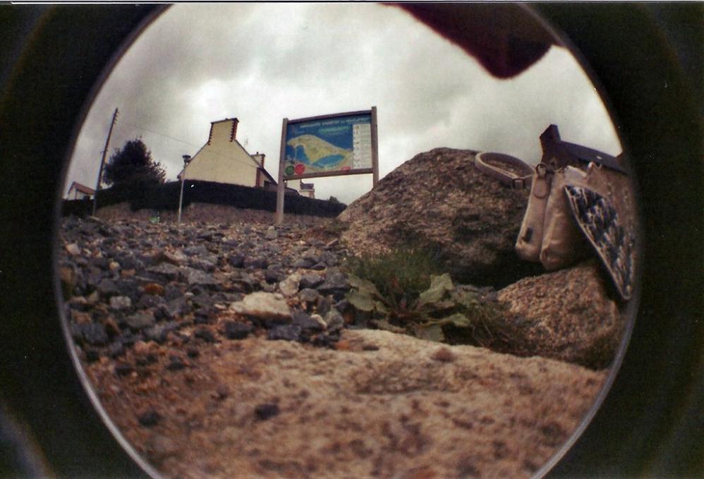 King fish eye 2 12