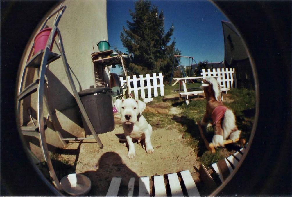 King fish eye 2