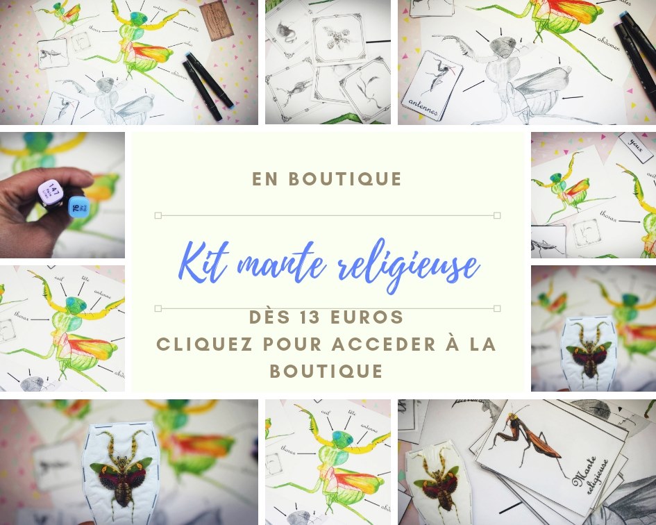 Kit mante religieuse