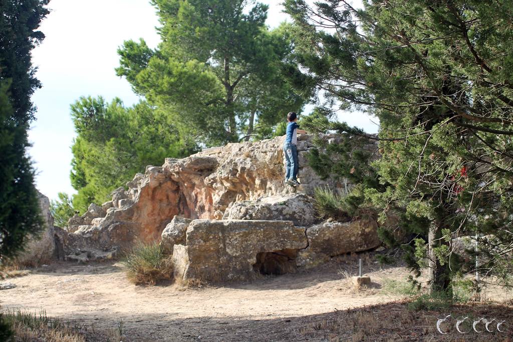 L oppidum d enserune 5