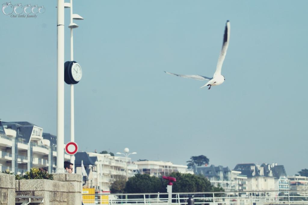 La baule 2