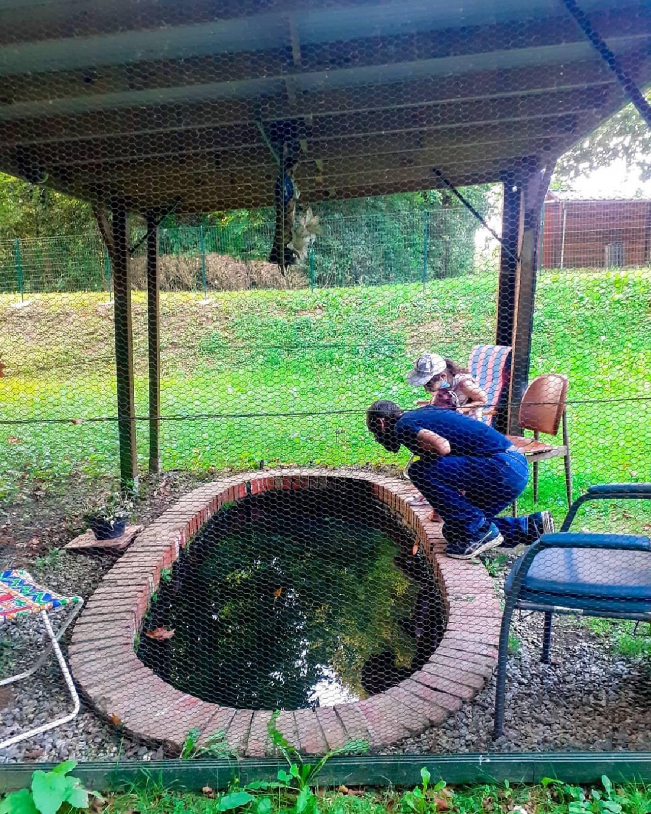 La fontaine saint joseph au dresny plesse 44 source de miracles469560922 1455016068765903 4538471325898796956 n
