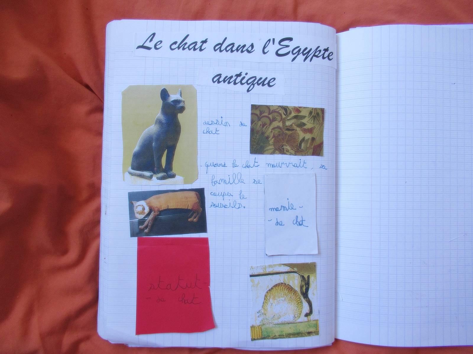 Lapbook chat 2