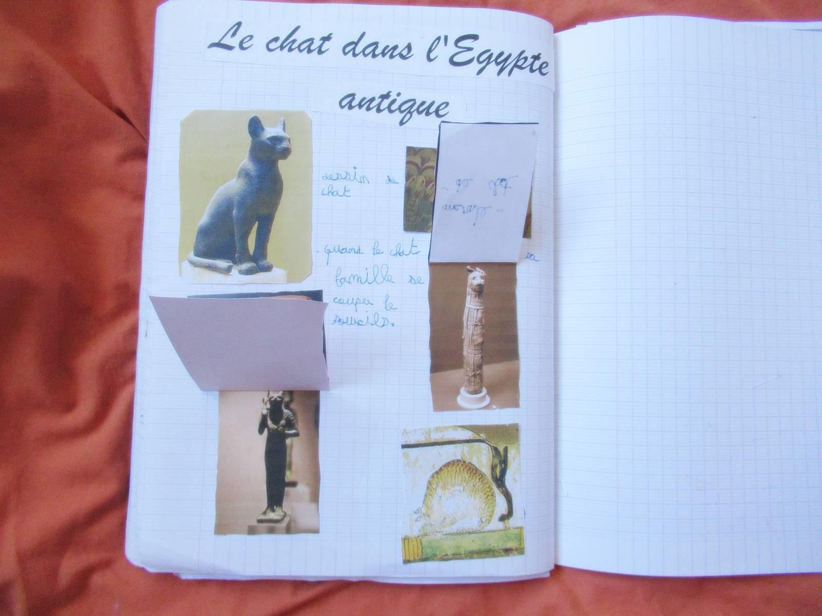 Lapbook chat 3