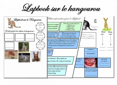 Lapbook kangourou 4
