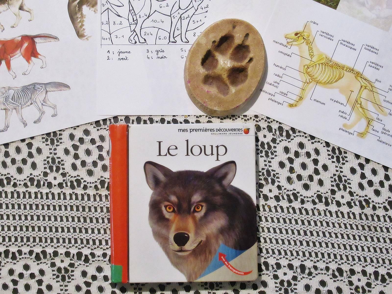 Lapbook loup blog 4