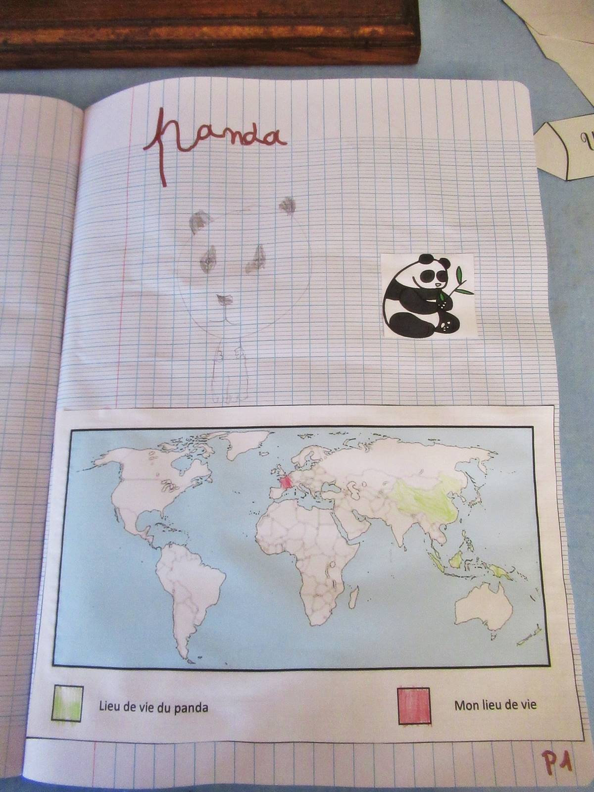 Lapbook panda ief 8