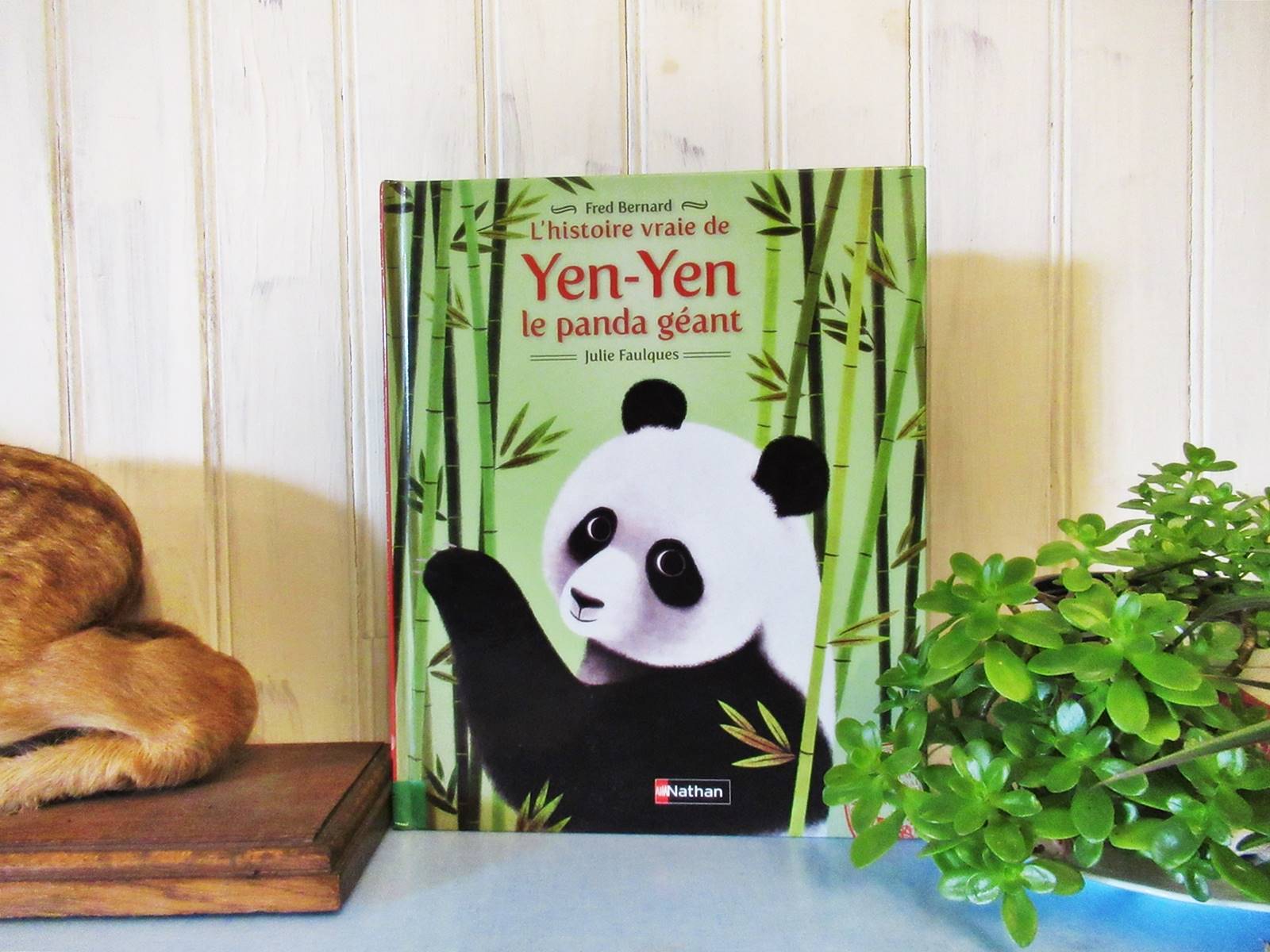 Lapbook panda