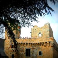 la tour du chateau de brient